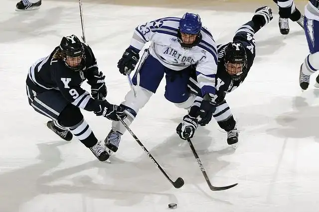 Image of Ice Rink